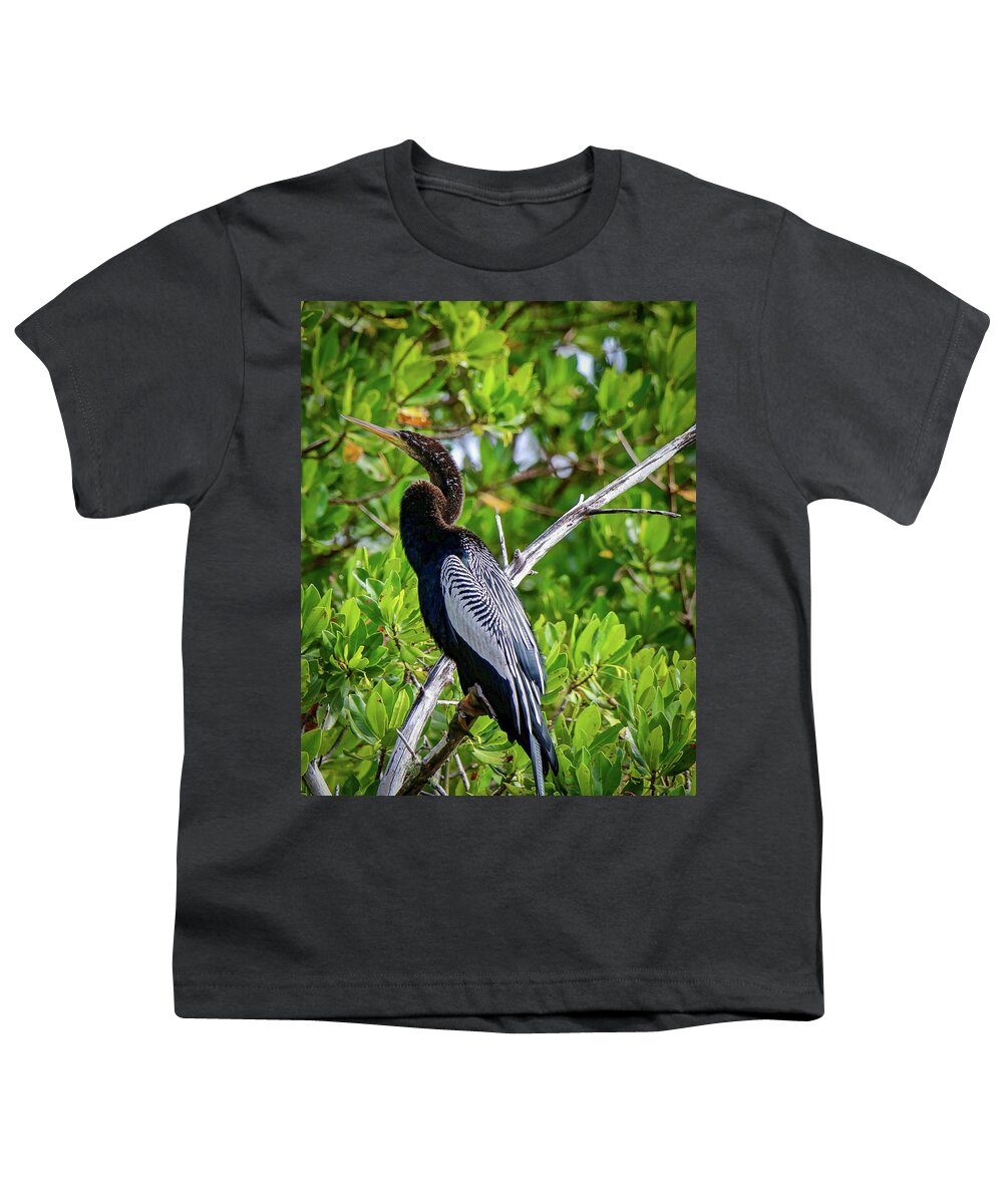 Pose Youth T-Shirt featuring the photograph Beautiful Anhinga by Susan Rydberg
