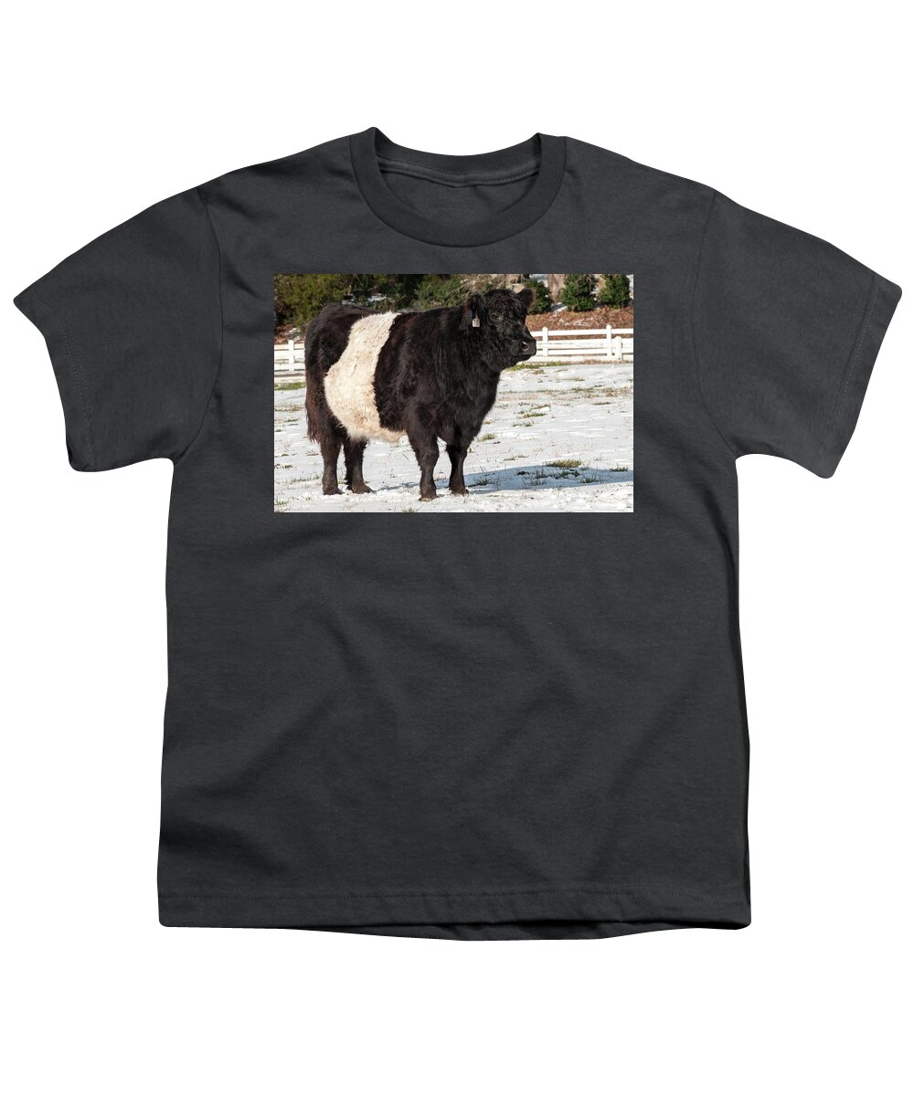 Belties Youth T-Shirt featuring the photograph Beltie in Winter by Minnie Gallman