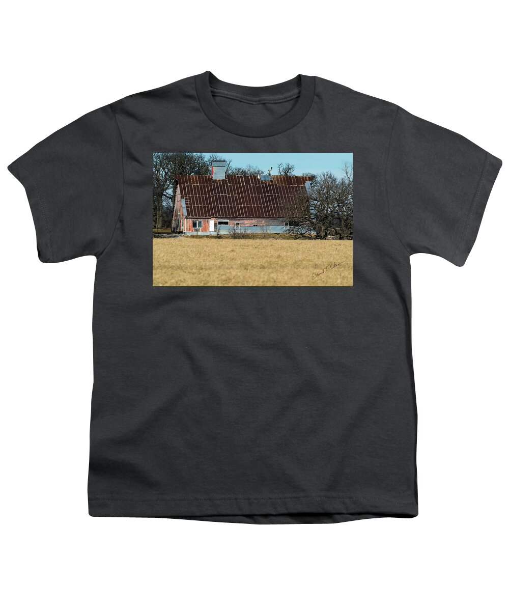Barns Youth T-Shirt featuring the photograph Big Barn Small Bald Eagle by Ed Peterson