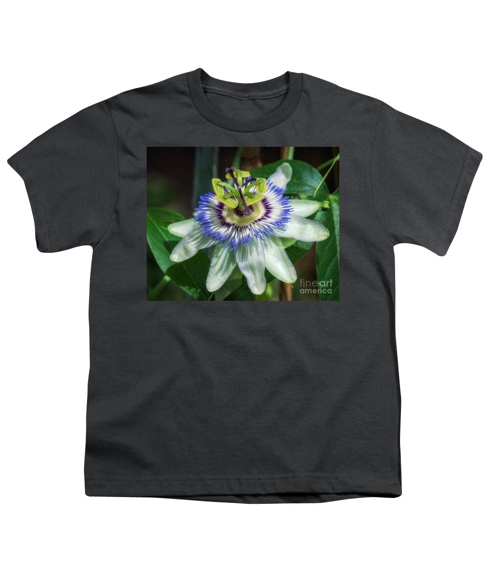 Blue Passion Flower Youth T-Shirt featuring the photograph Blue Passion Flower by Priscilla Burgers