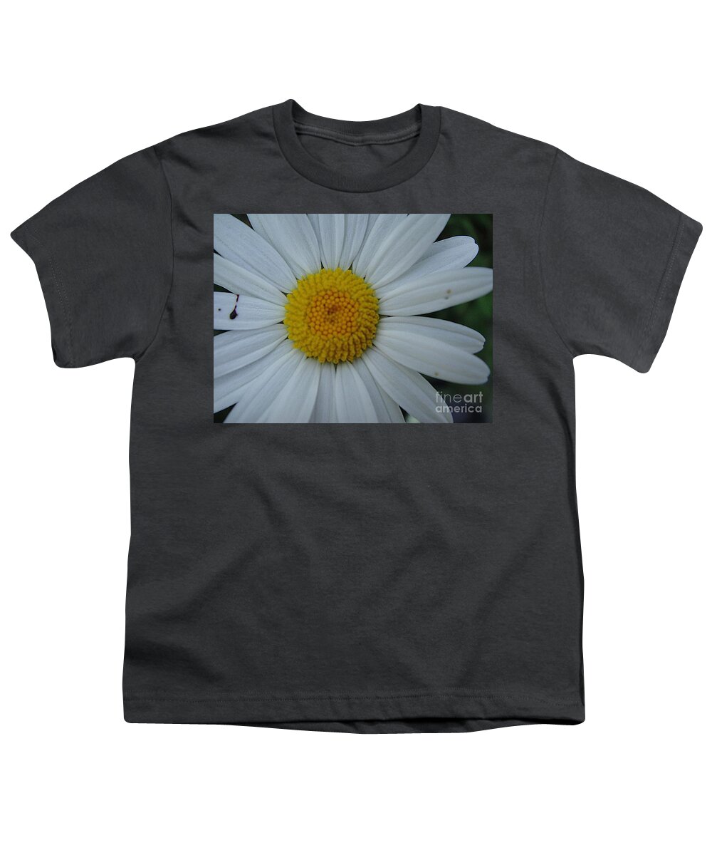 Flower Youth T-Shirt featuring the photograph Bright flower by Karin Ravasio