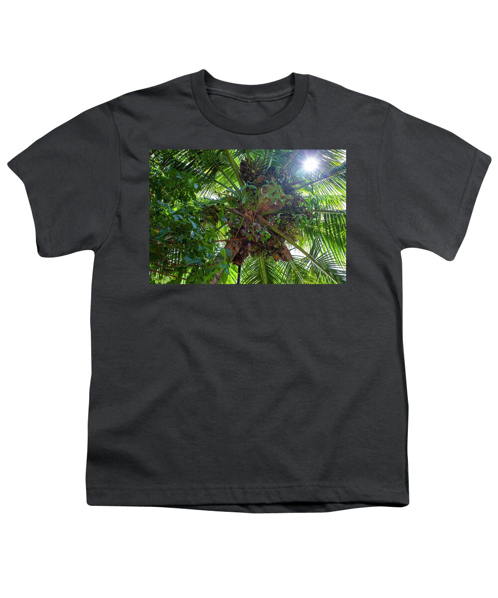 Coconut Youth T-Shirt featuring the photograph bunch of Coconuts by Anthony Jones