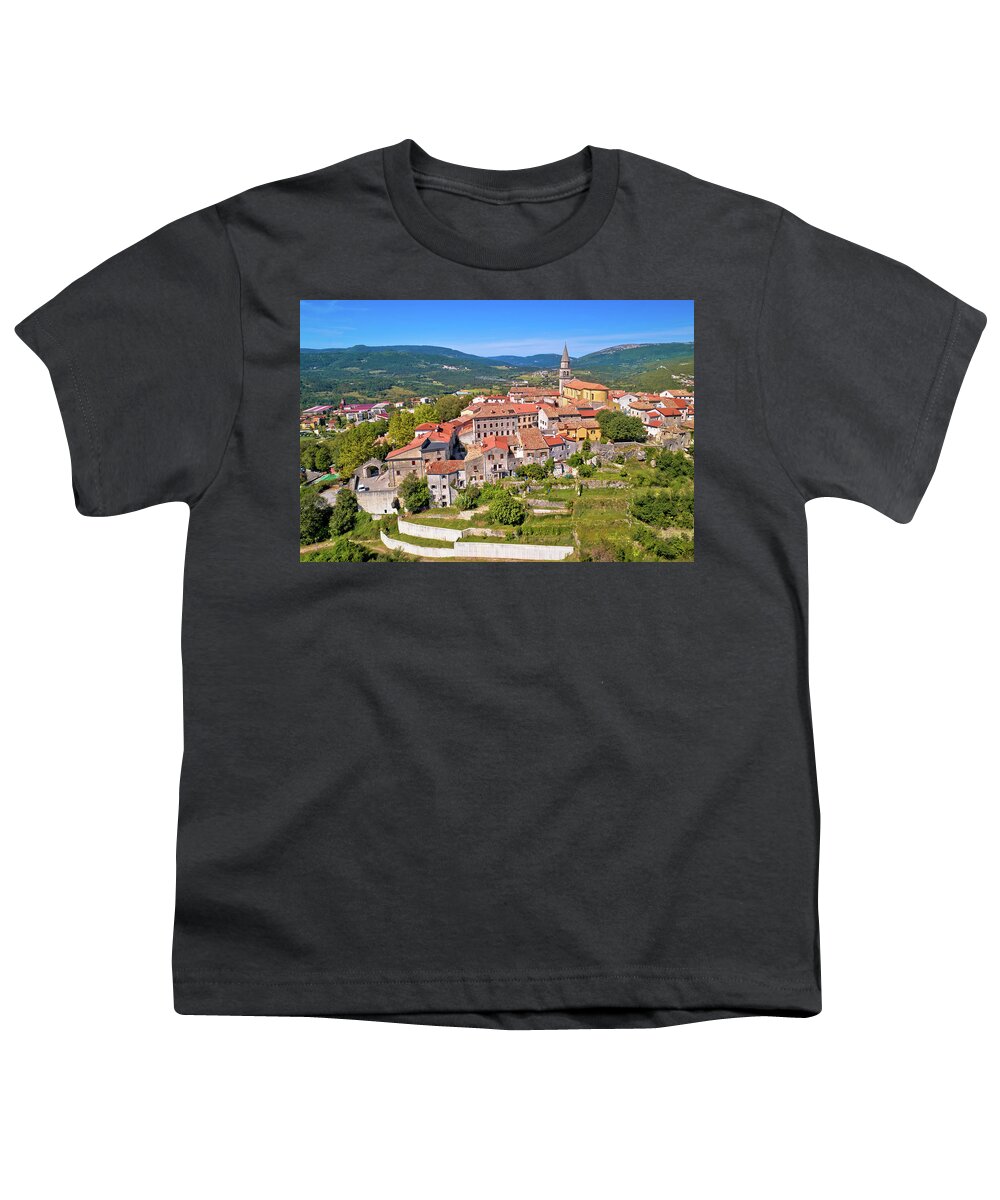 Buzet Youth T-Shirt featuring the photograph Buzet. Idyllic hill town of Buzet in green landscape aerial view by Brch Photography
