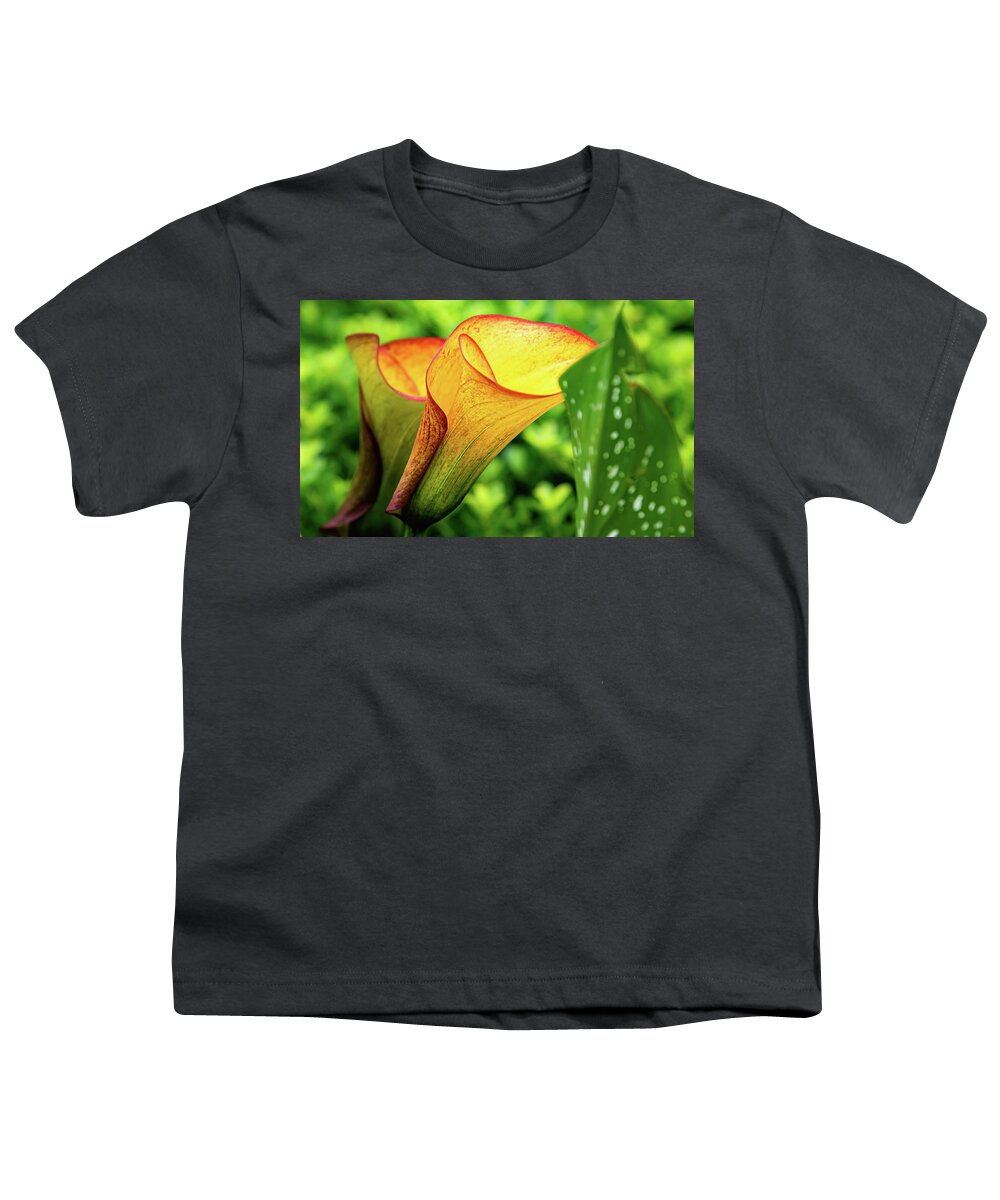 Flower Youth T-Shirt featuring the digital art Calypso Calla by Ed Stines