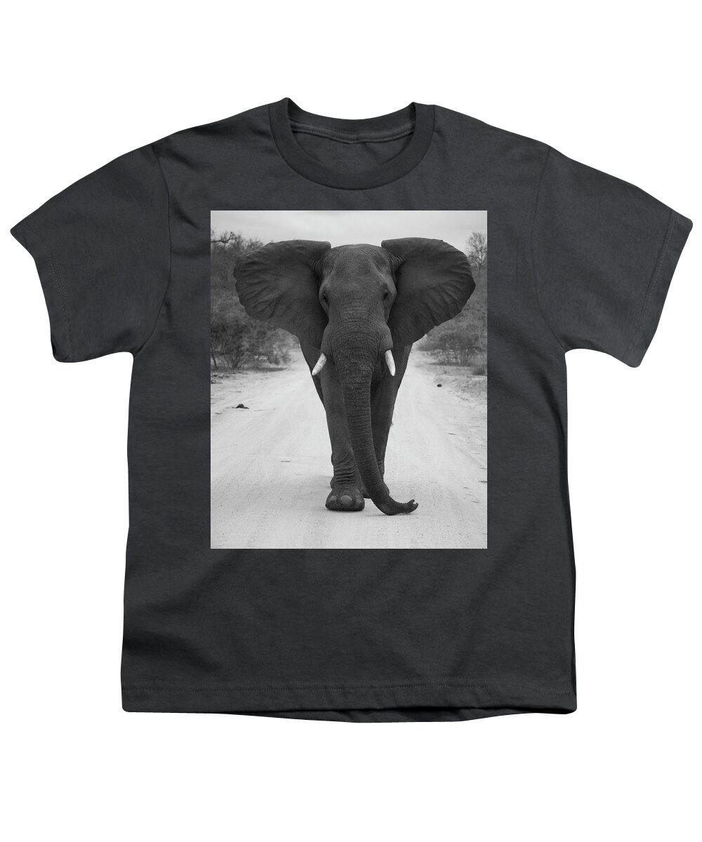 Elephant Youth T-Shirt featuring the photograph Charging Elephant by Patrick Nowotny