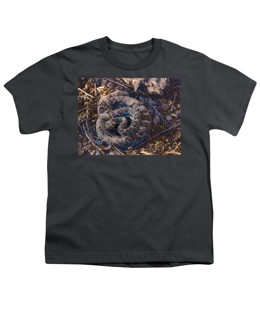 Affordable Youth T-Shirt featuring the photograph Coiled and Ready by Judy Kennedy
