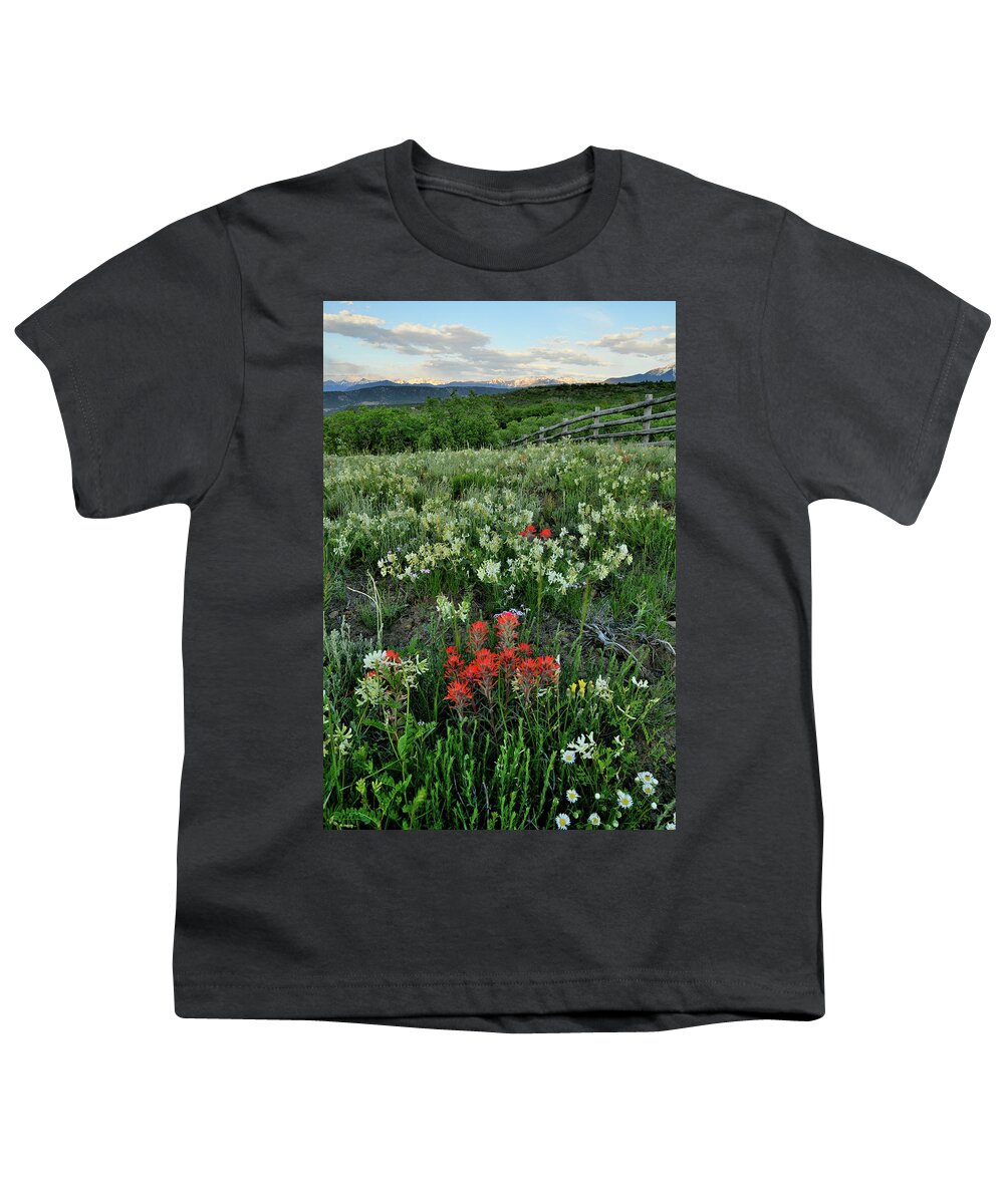 Ouray Youth T-Shirt featuring the photograph Colorado Wildflowers near Dallas Creek Road by Ray Mathis