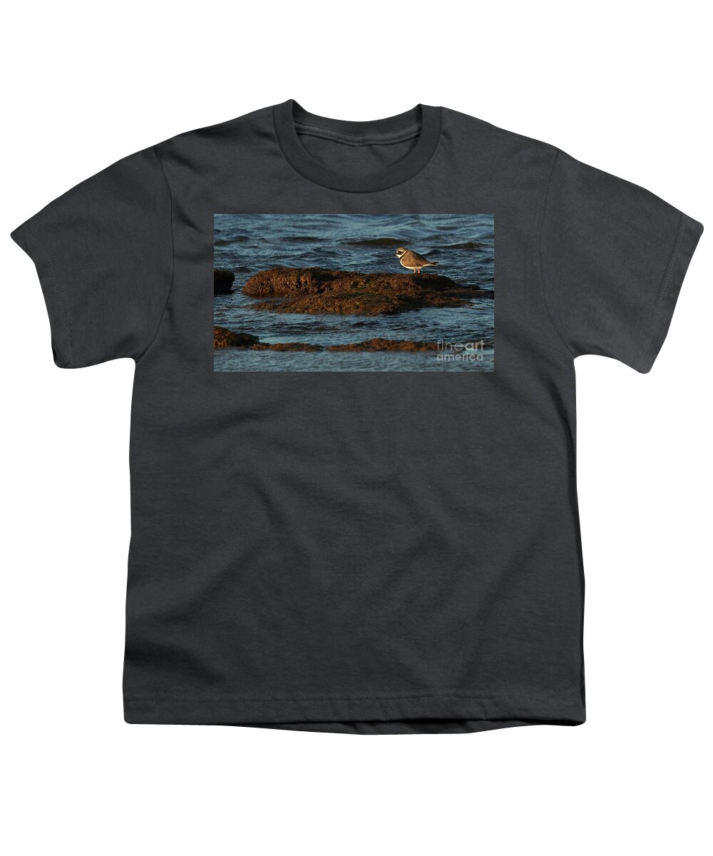 Outdoors Youth T-Shirt featuring the photograph Common Ringed Plover Charadrius hiaticula La Caleta Beach Cadiz by Pablo Avanzini