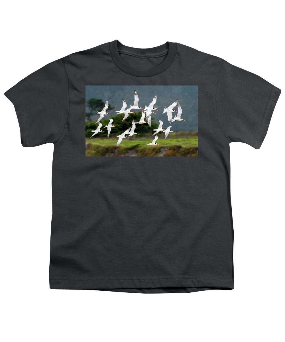 Terns Youth T-Shirt featuring the photograph Common Tern Fly-By by Judi Dressler