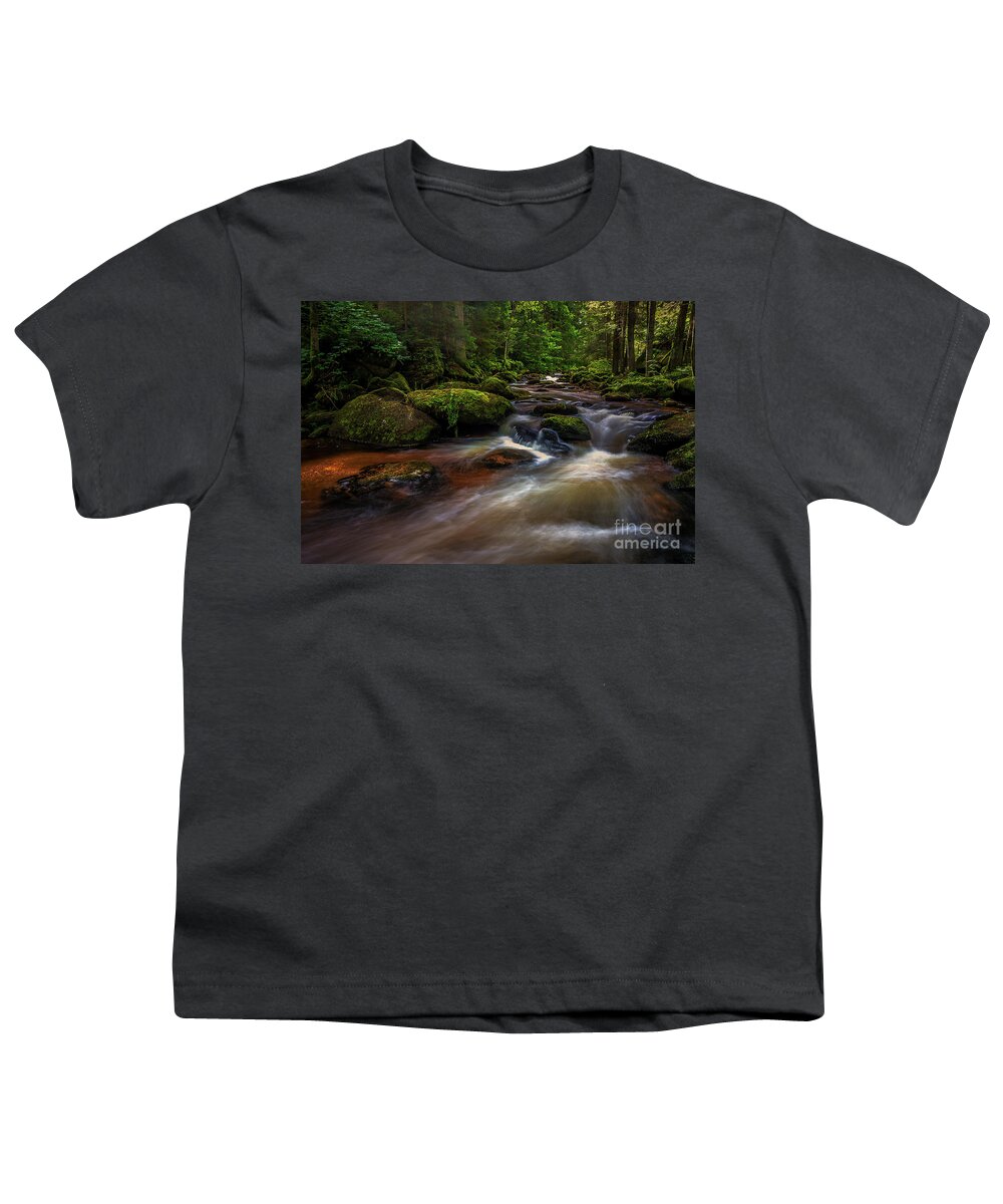 Creek Youth T-Shirt featuring the digital art Creek of Colours by Jim Hatch