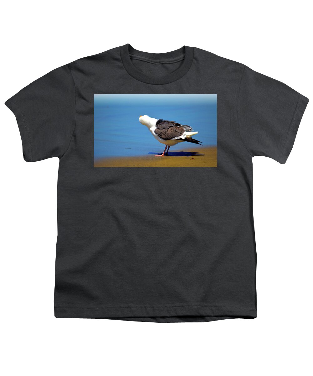 Seagull Youth T-Shirt featuring the photograph Don't Take My Picture by Debra Kewley