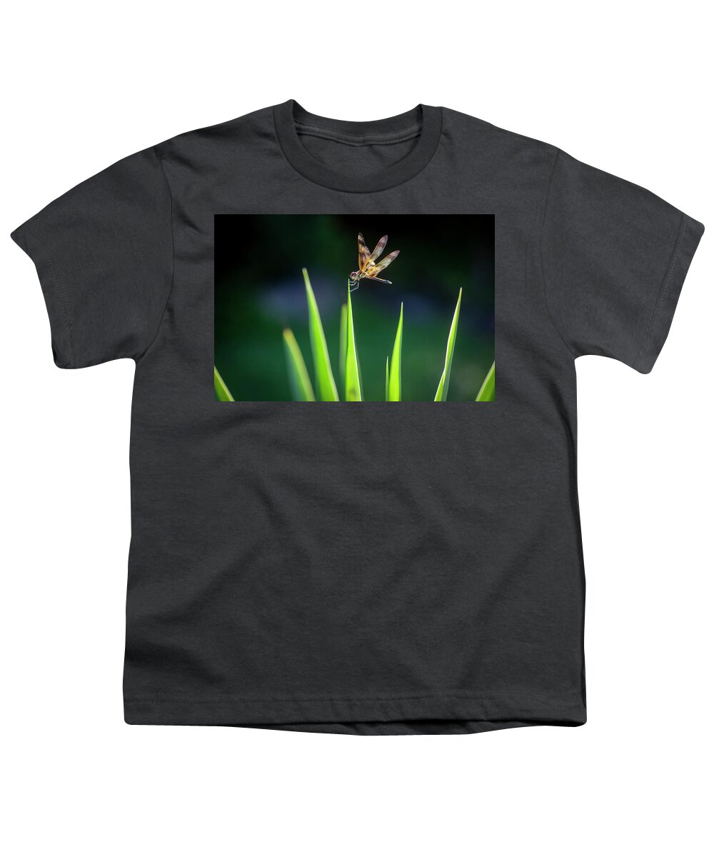 Halloween Pennant Dragonfly Youth T-Shirt featuring the photograph Yucca plant Spanish Bayonet X100 by Rich Franco