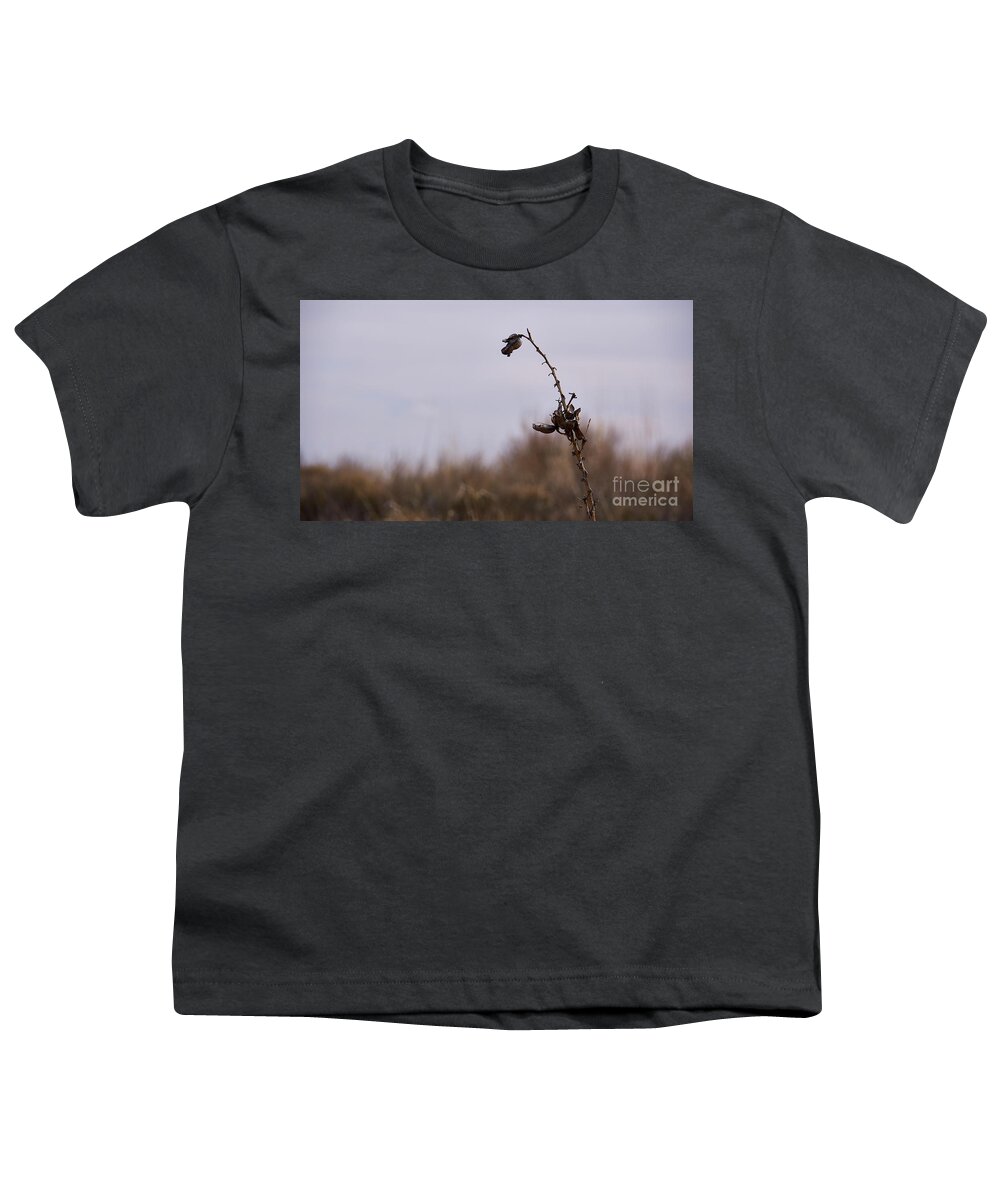 New Mexico Desert Youth T-Shirt featuring the photograph Dry Desert Yucca Flower by Robert WK Clark