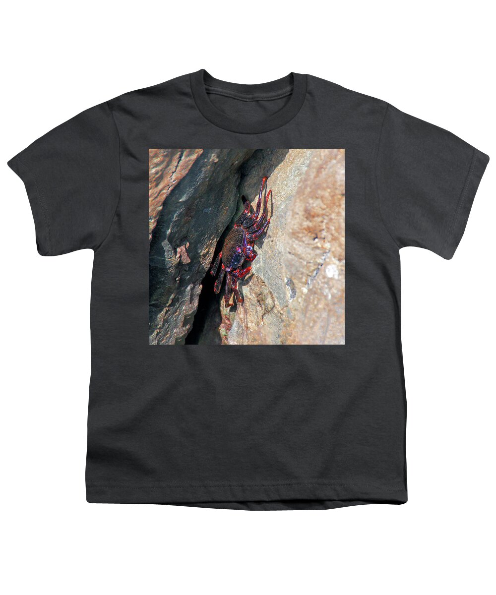 Crab Youth T-Shirt featuring the photograph East Atlantic Red Rock Crab by Sun Travels