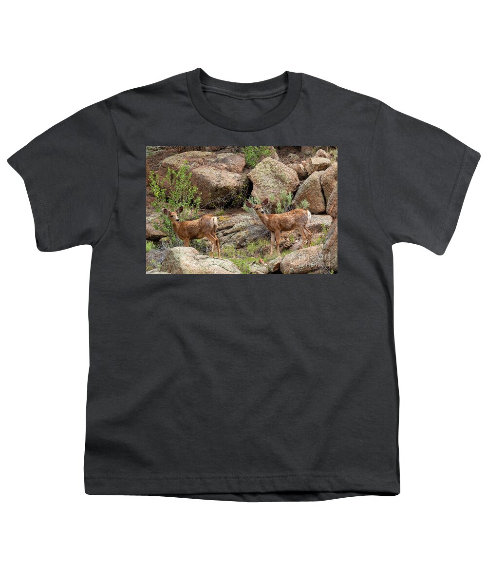 Eleven Mile Canyon Youth T-Shirt featuring the photograph Eleven Mile Canyon Deer by Steven Krull