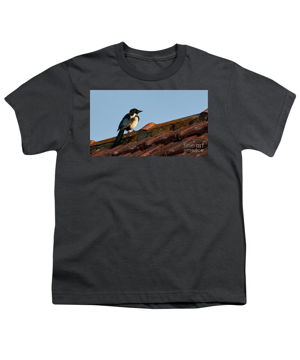 Colorful Youth T-Shirt featuring the photograph Eurasian Magpie Pica Pica on Tiled Roof by Pablo Avanzini