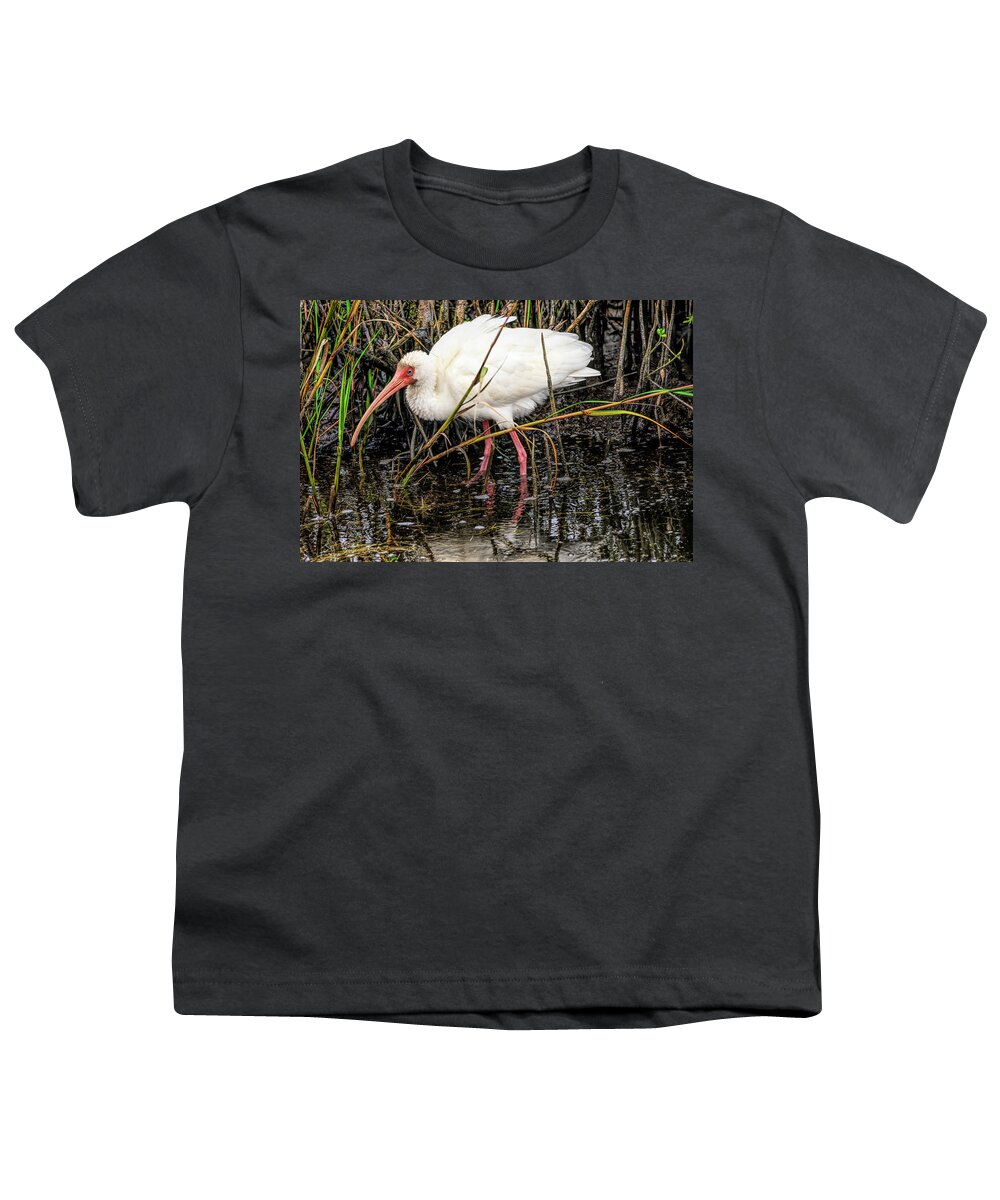 Excited White Ibis Youth T-Shirt featuring the photograph Excited White Ibis by Debra Martz