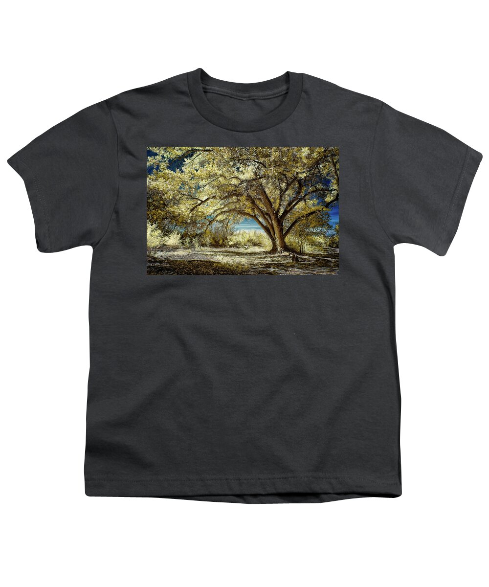 Cottonwood Youth T-Shirt featuring the photograph Fall Beauty in the Bosque by Michael McKenney