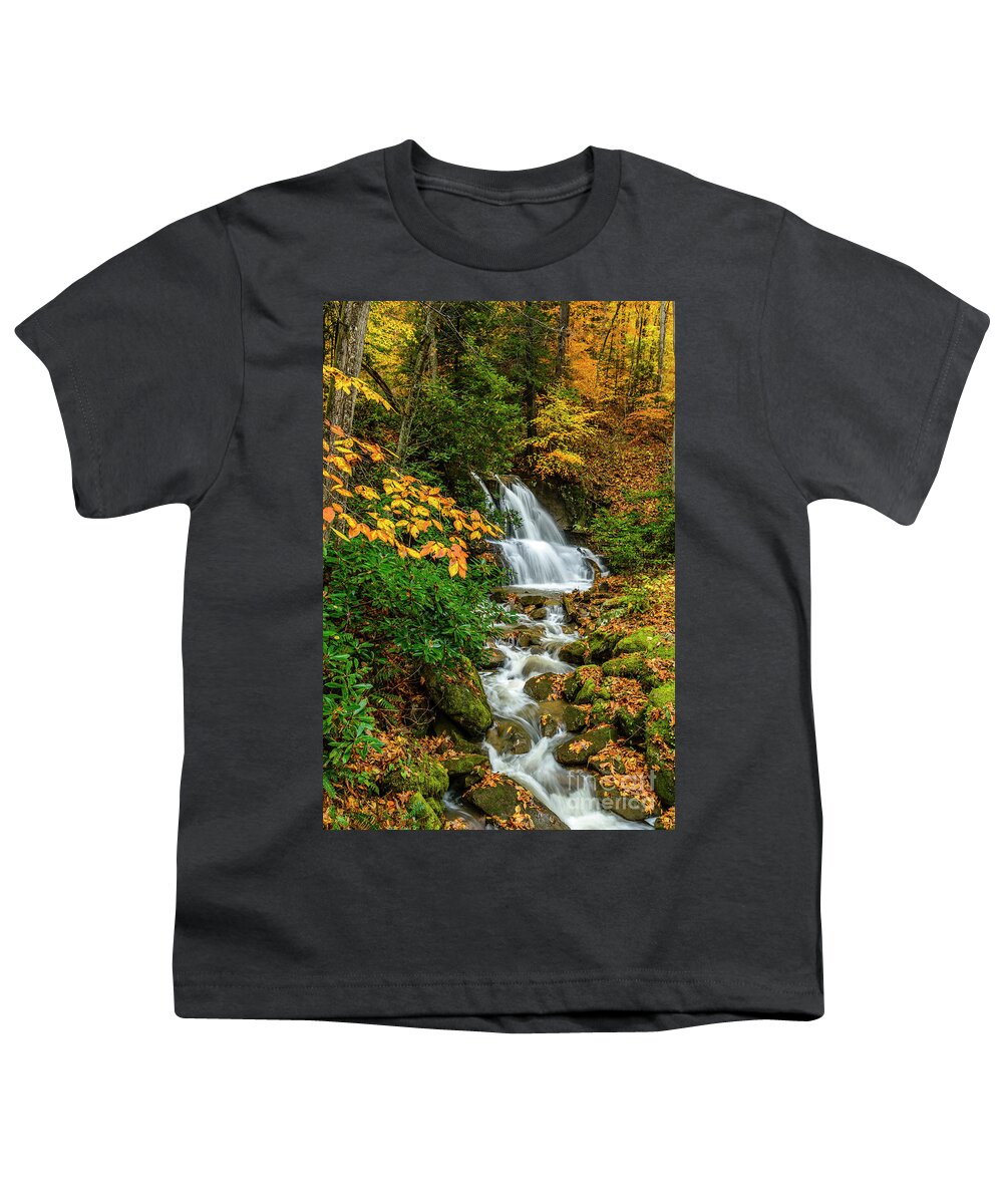 Waterfall Youth T-Shirt featuring the photograph Fall Color Back Fork Waterfall by Thomas R Fletcher