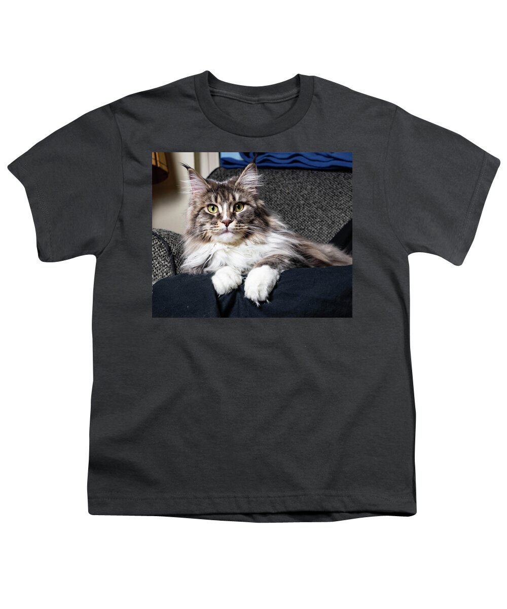 Cat Youth T-Shirt featuring the photograph Feline Beauty by Martin Gollery