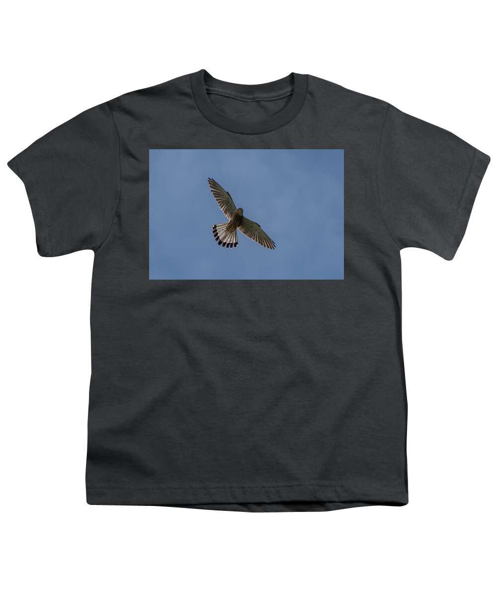 Male Kestrel Youth T-Shirt featuring the photograph Flying male Kestrel in the blue sky by Torbjorn Swenelius