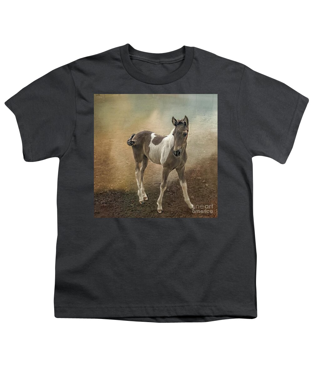 Horses Youth T-Shirt featuring the photograph Fox Trotter Foal Horses by Peggy Franz