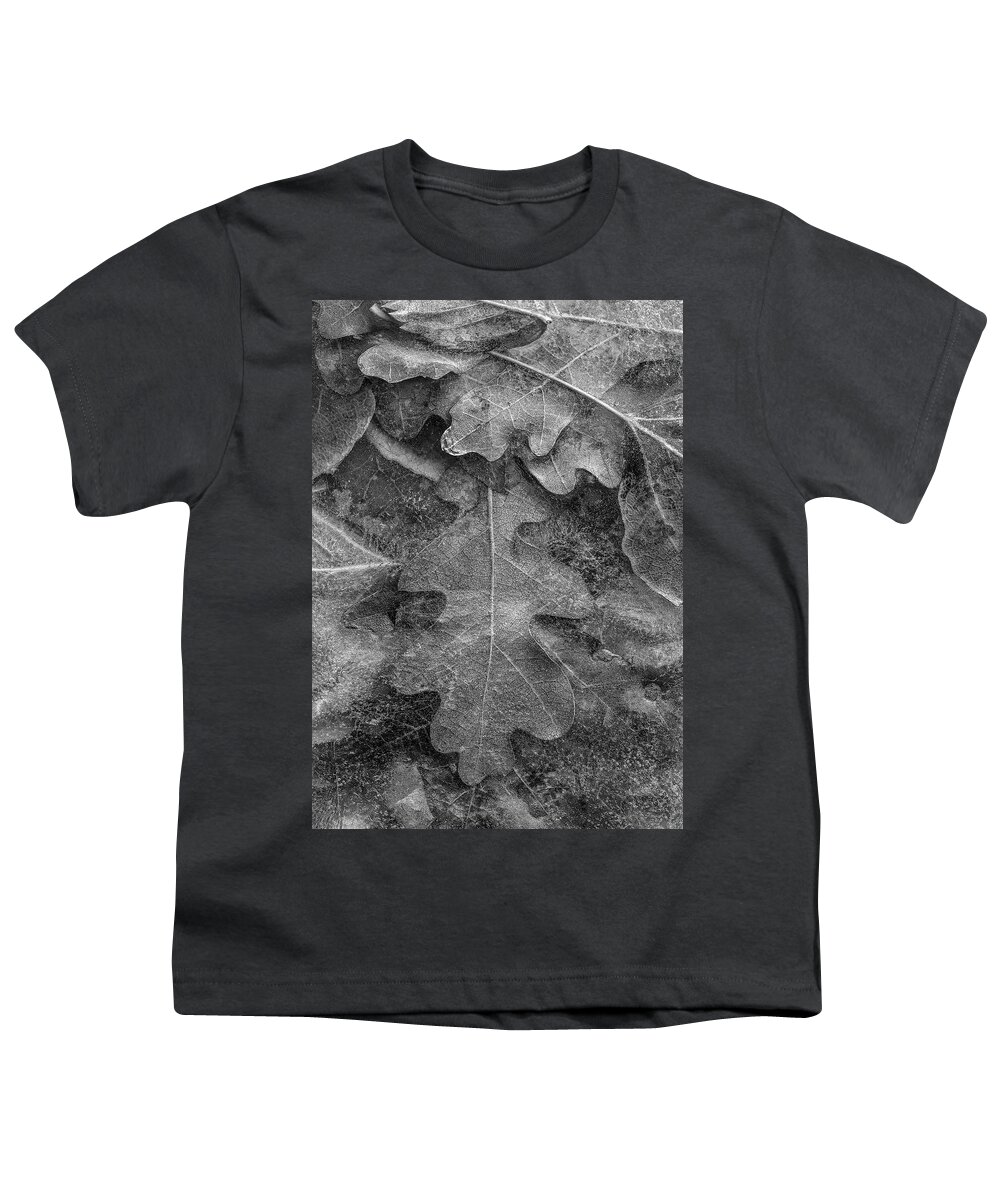 Disk1215 Youth T-Shirt featuring the photograph Frozen Fallen Leaves by Tim Fitzharris