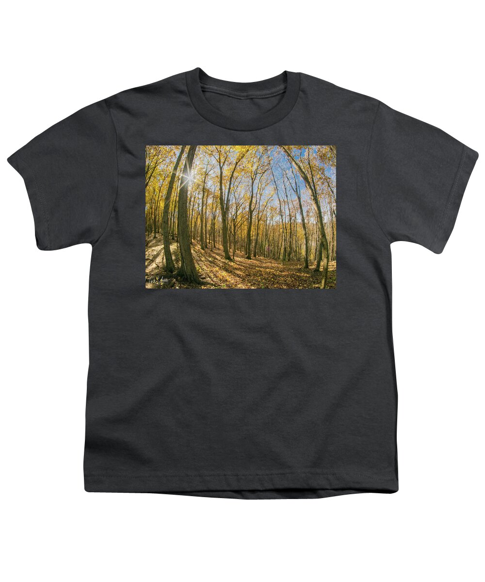 Golden Leaves Youth T-Shirt featuring the photograph Golden by Phil S Addis