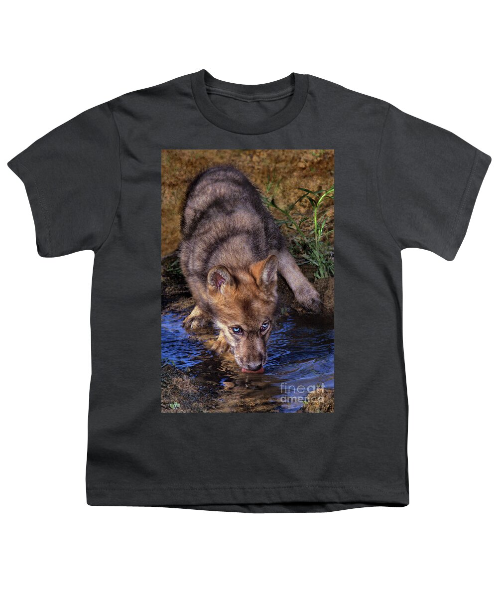 Gray Wolf Youth T-Shirt featuring the photograph Gray Wolf Pup Endangered Species Wildlife Rescue by Dave Welling