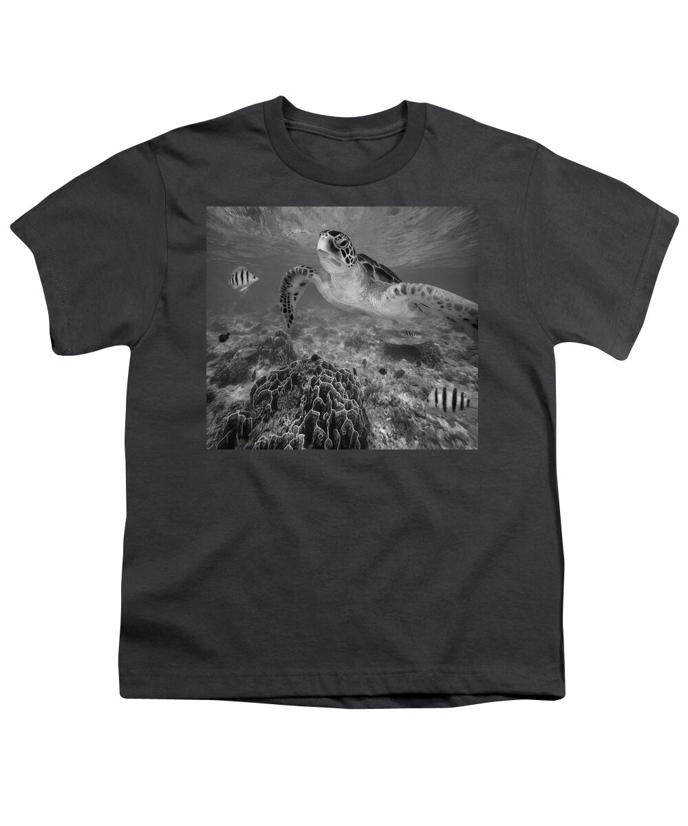 Disk1215 Youth T-Shirt featuring the photograph Green Sea Turtle And Reef Fish by Tim Fitzharris