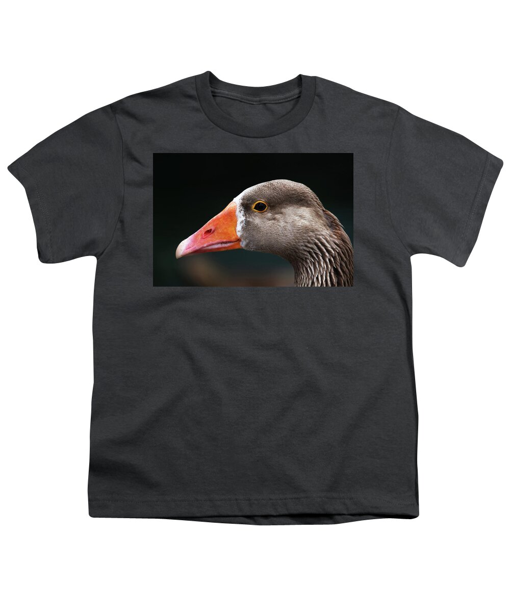 Greylag Goose Youth T-Shirt featuring the photograph Greylag Goose Portrait by Jeff Townsend