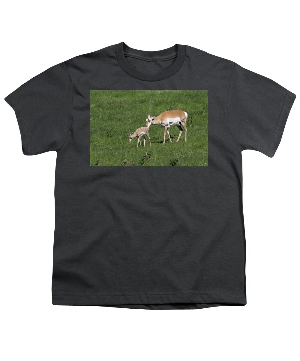 Pronghorn Youth T-Shirt featuring the photograph Hanging close by Ronnie And Frances Howard
