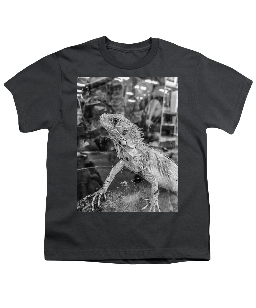 Iguana Portrait Youth T-Shirt featuring the photograph Iguana Portrait Black and White by Lesa Fine