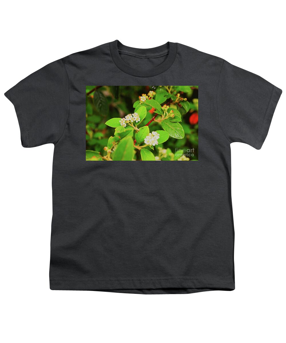 Jardin De Botanica Youth T-Shirt featuring the photograph Jardin De Botanica by Cassandra Buckley