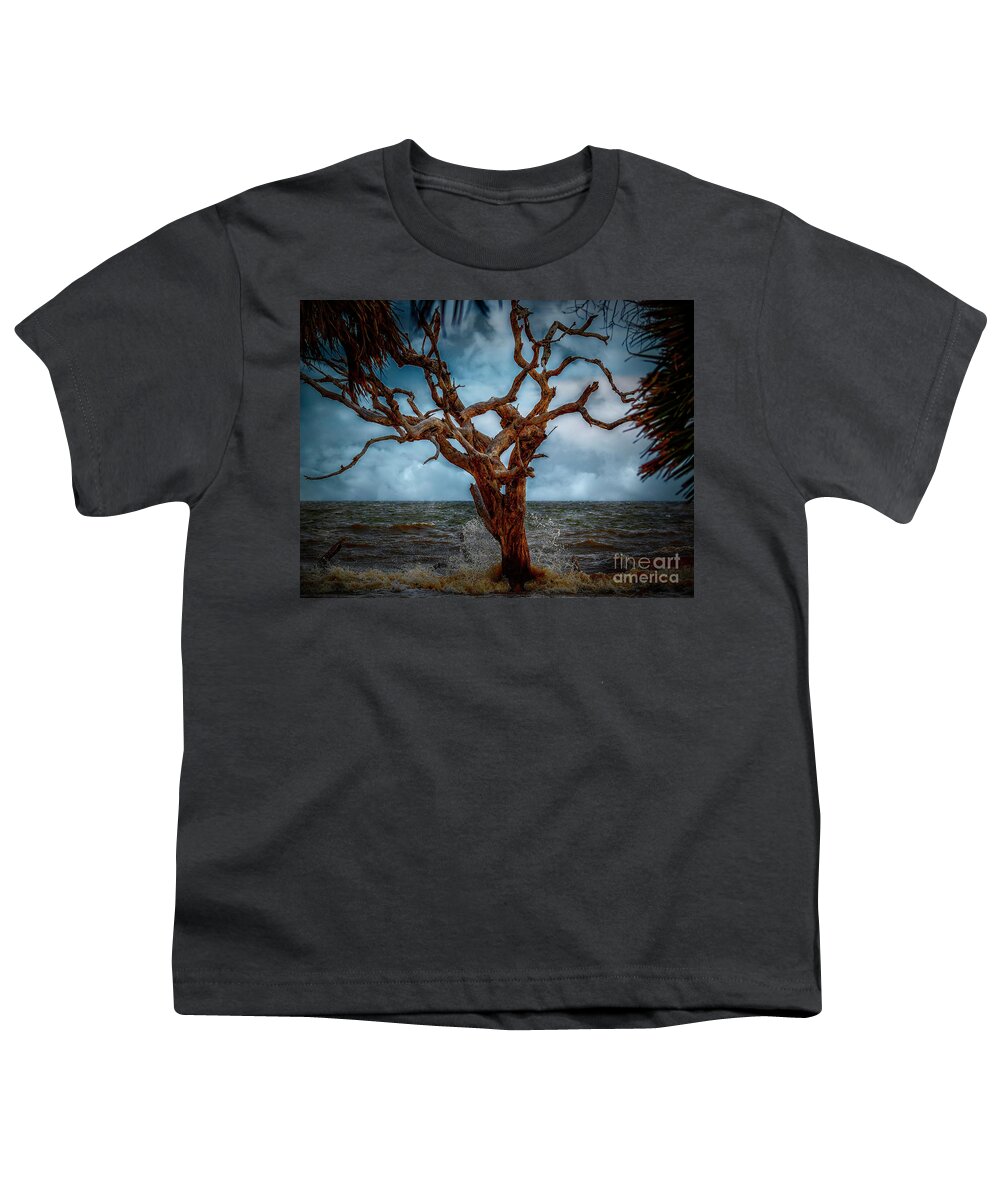 Seascapes Youth T-Shirt featuring the photograph Jekyll's Driftwood Beach at High Tide by DB Hayes