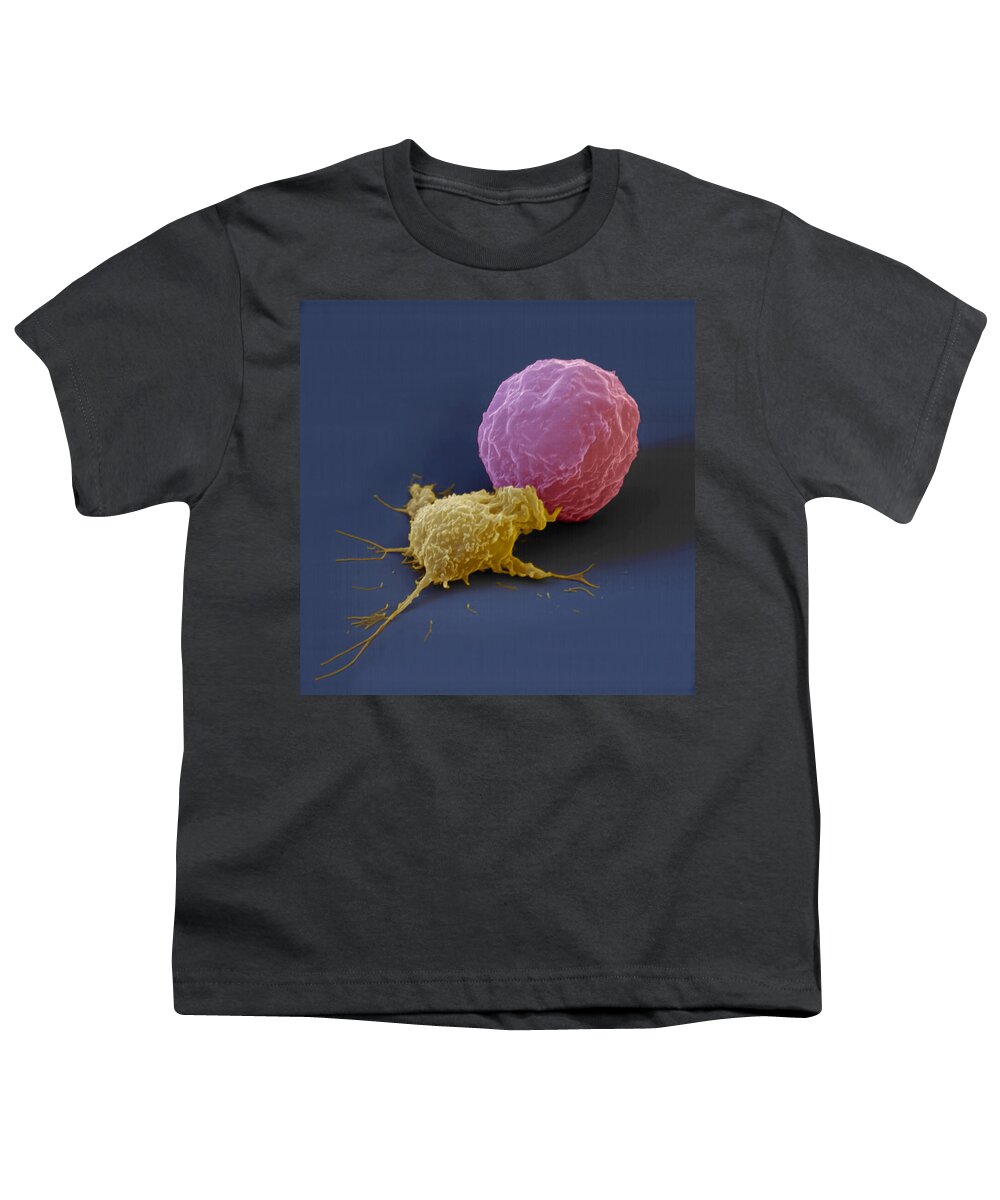 Antigen Youth T-Shirt featuring the photograph Killer Cell And Cancer Cell by Meckes/ottawa