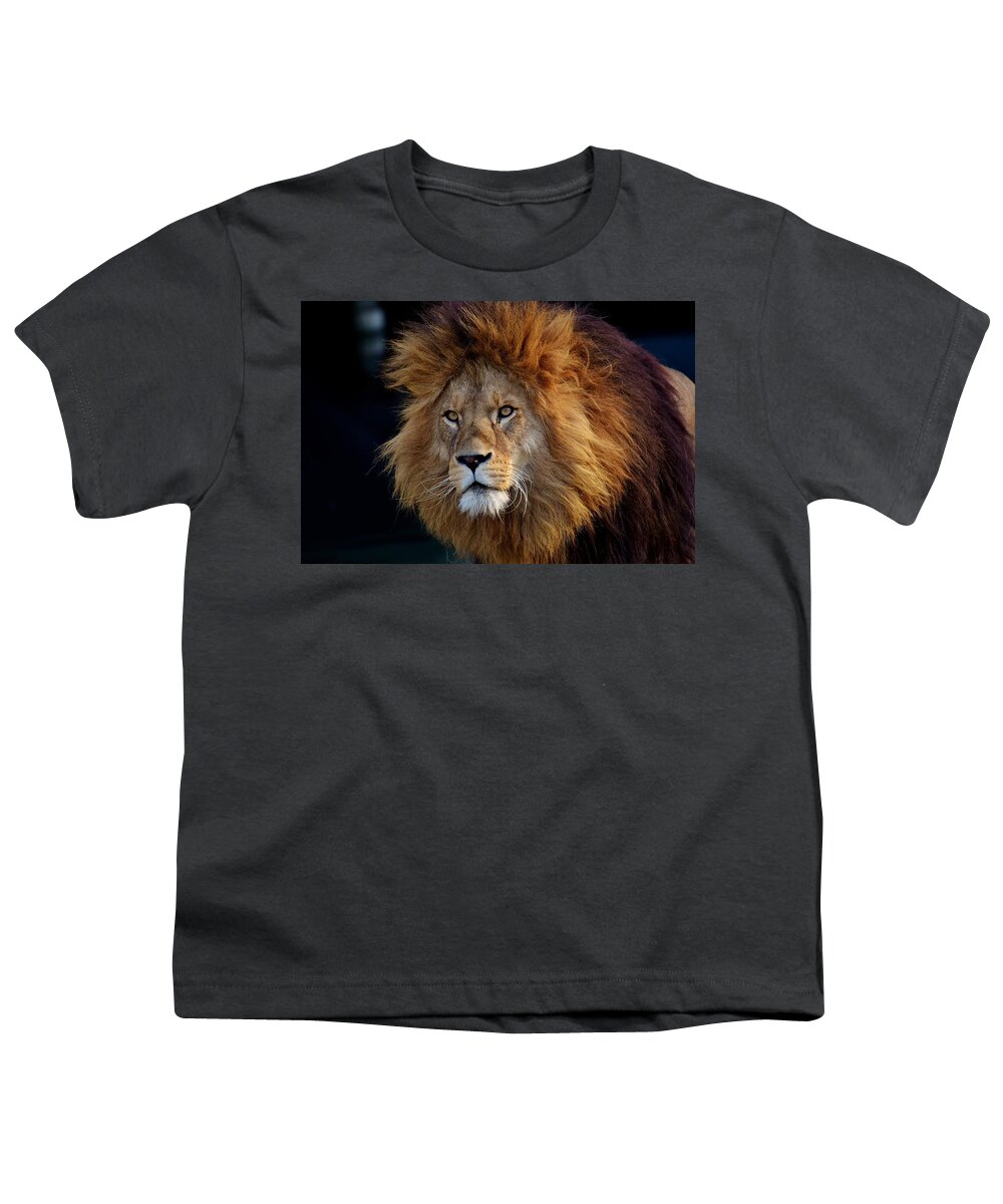  Youth T-Shirt featuring the photograph King lion by Top Wallpapers