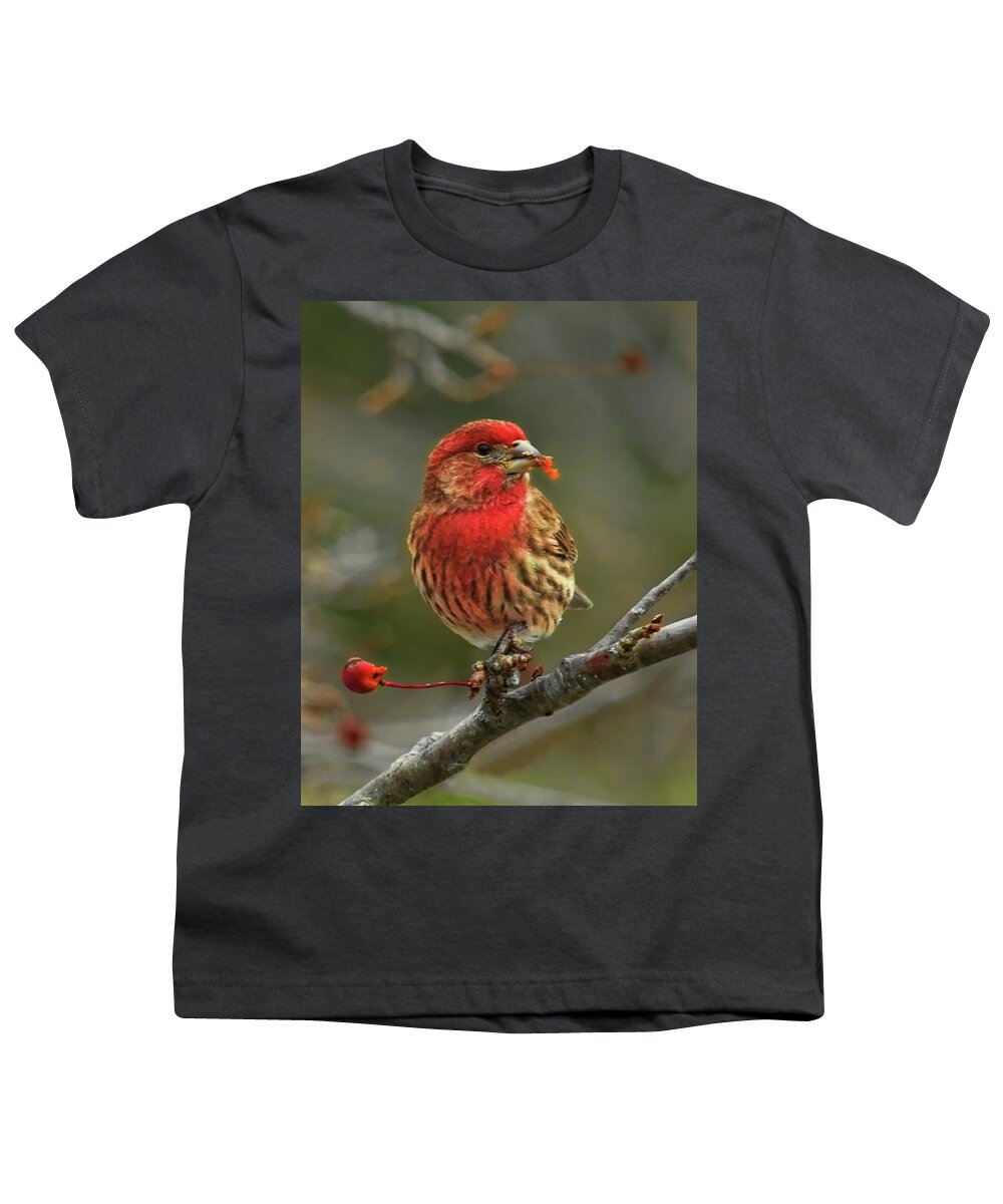Wildlife Youth T-Shirt featuring the photograph Male House Finch With Crabapple by Dale Kauzlaric