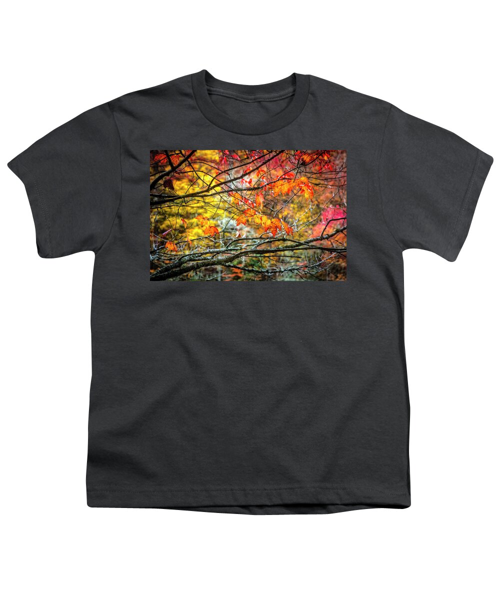 Appalachia Youth T-Shirt featuring the photograph Maples of Red and Gold by Debra and Dave Vanderlaan