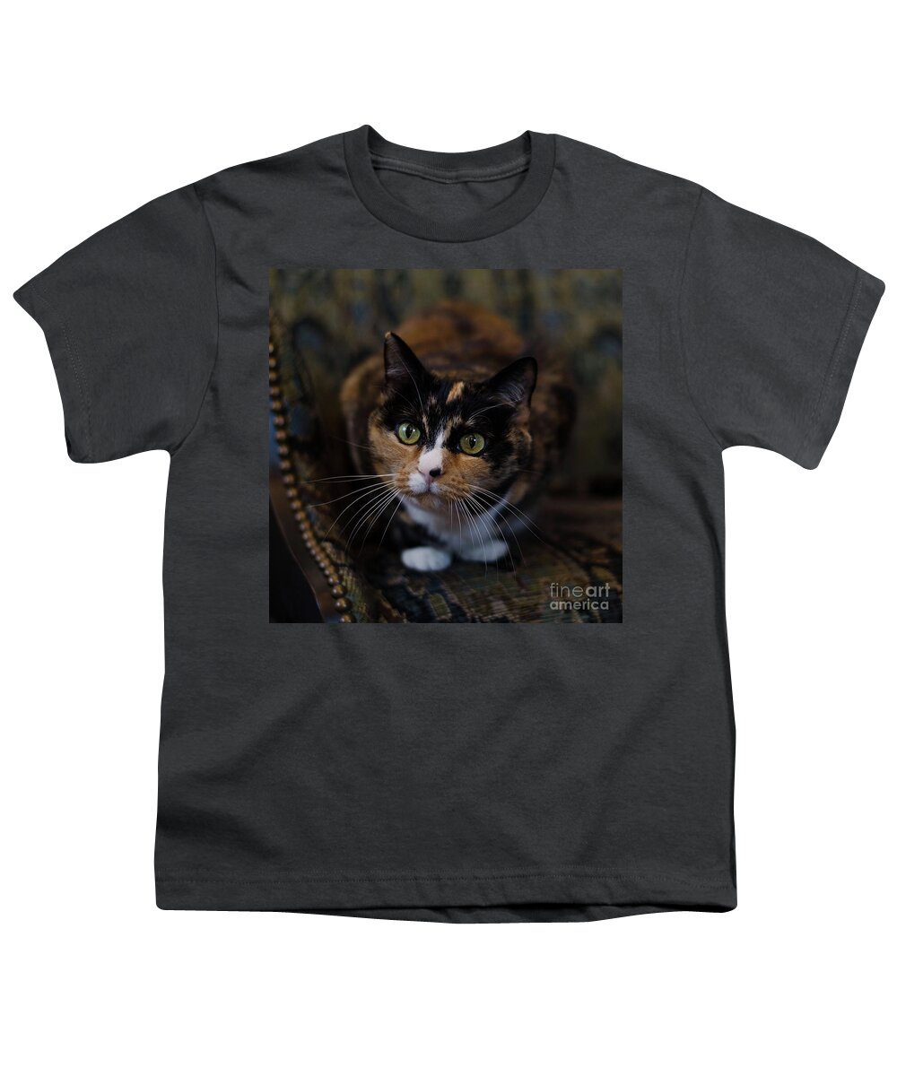 Calico Cat Youth T-Shirt featuring the photograph Mischa by Irina ArchAngelSkaya