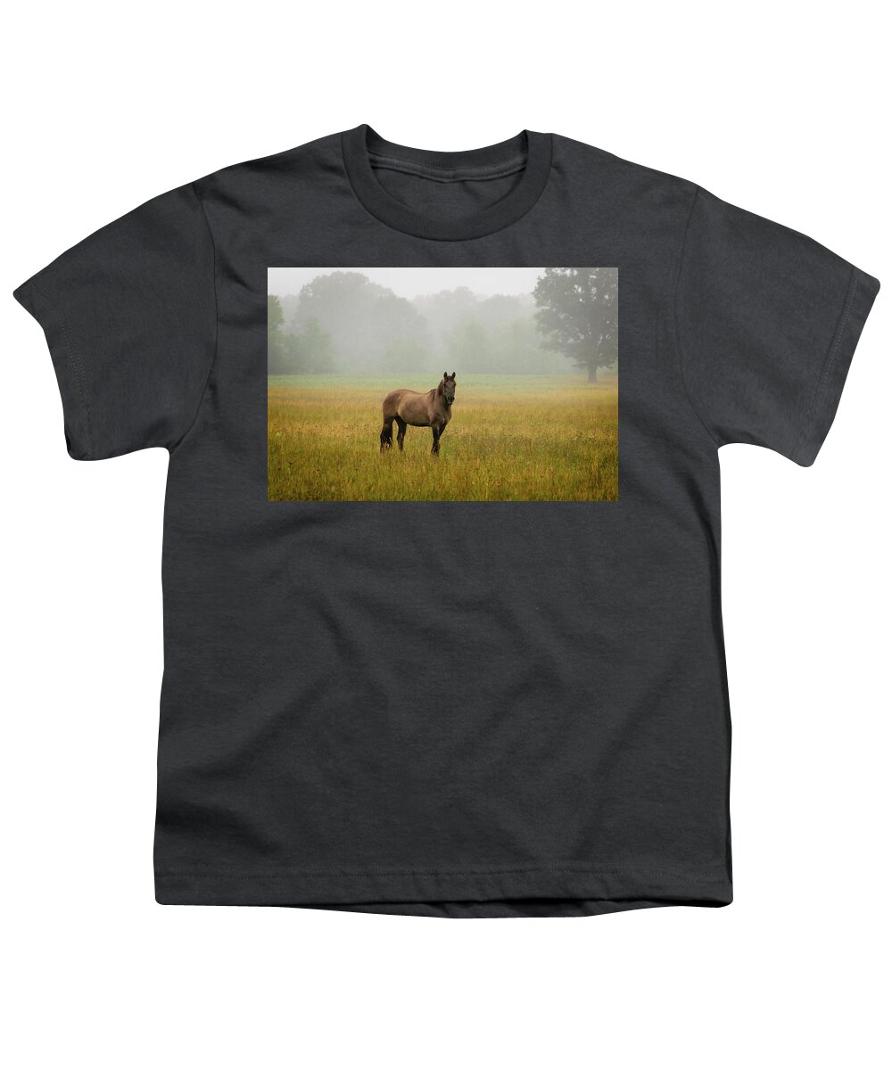 Horses Youth T-Shirt featuring the photograph Misty Morning by Steve L'Italien