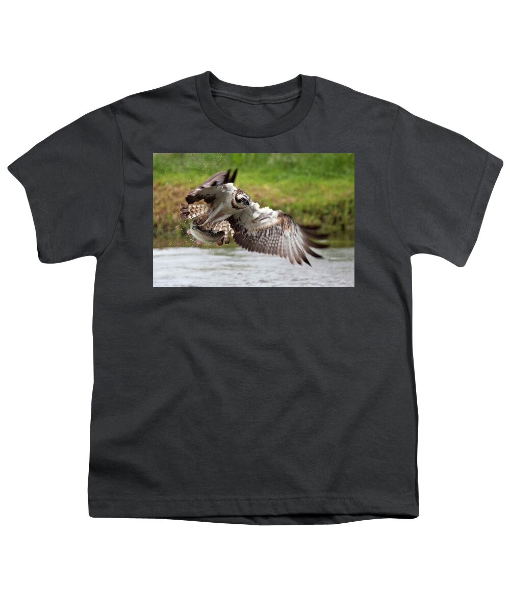 Estock Youth T-Shirt featuring the digital art Osprey Catching Fish by Luigi Piccirillo