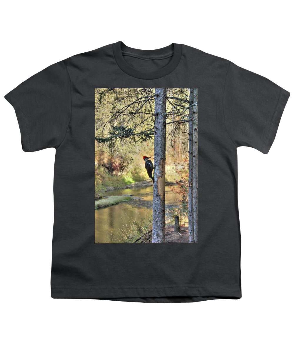 A Pileated Woodpecker Youth T-Shirt featuring the photograph Pileated Woodpecker in Autumn by Jim Sauchyn