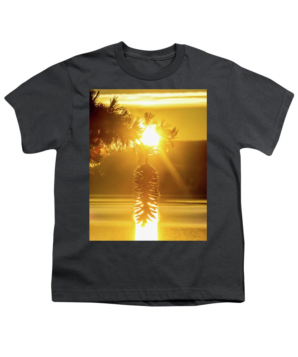 Sun Youth T-Shirt featuring the photograph Pine cone fire by Martin Gollery