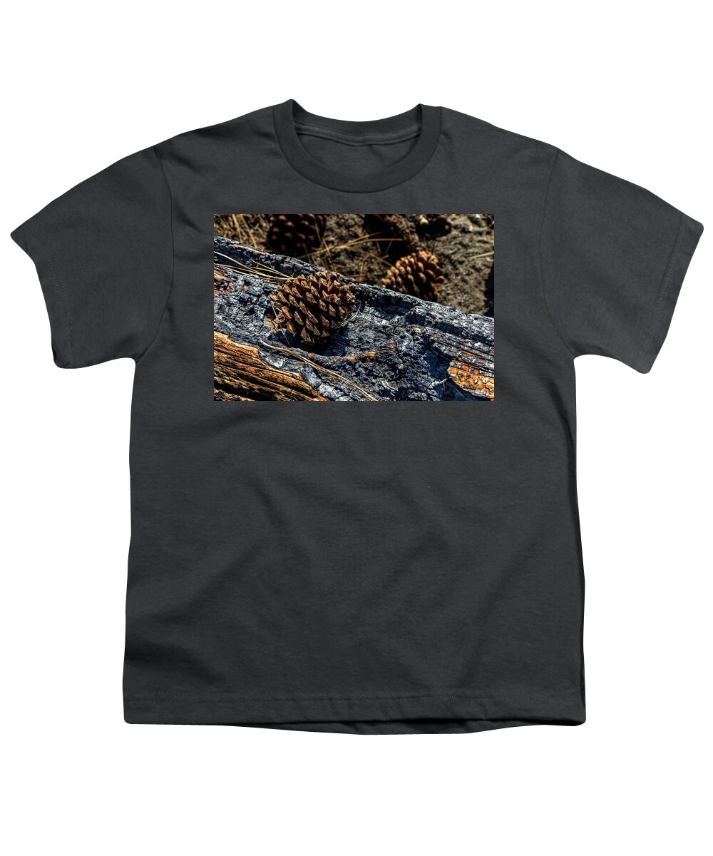 Mammoth Lakes Youth T-Shirt featuring the photograph Pine Cone on Charred Wood by Kelley King
