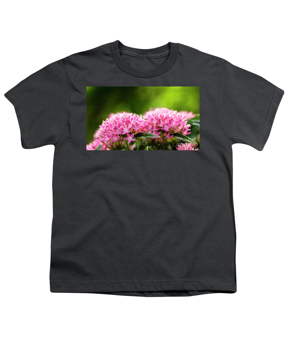 Background Youth T-Shirt featuring the photograph Pink Pentas Flowers by Raul Rodriguez