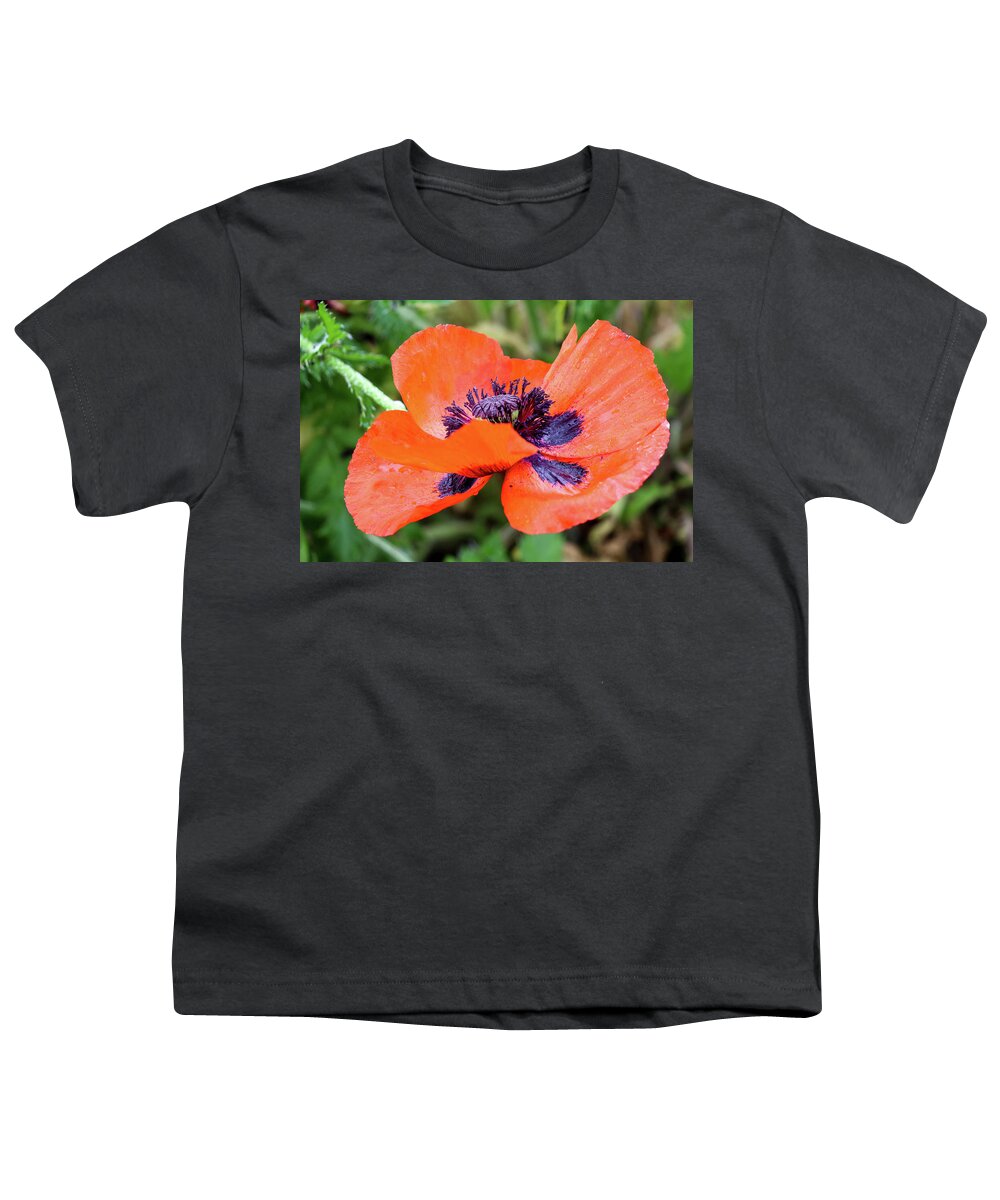 Flower Youth T-Shirt featuring the photograph Poppin Poppy by Mary Anne Delgado