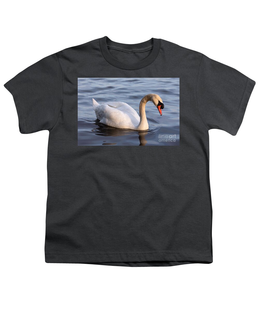 Photography Youth T-Shirt featuring the photograph Posing Swan by Alma Danison