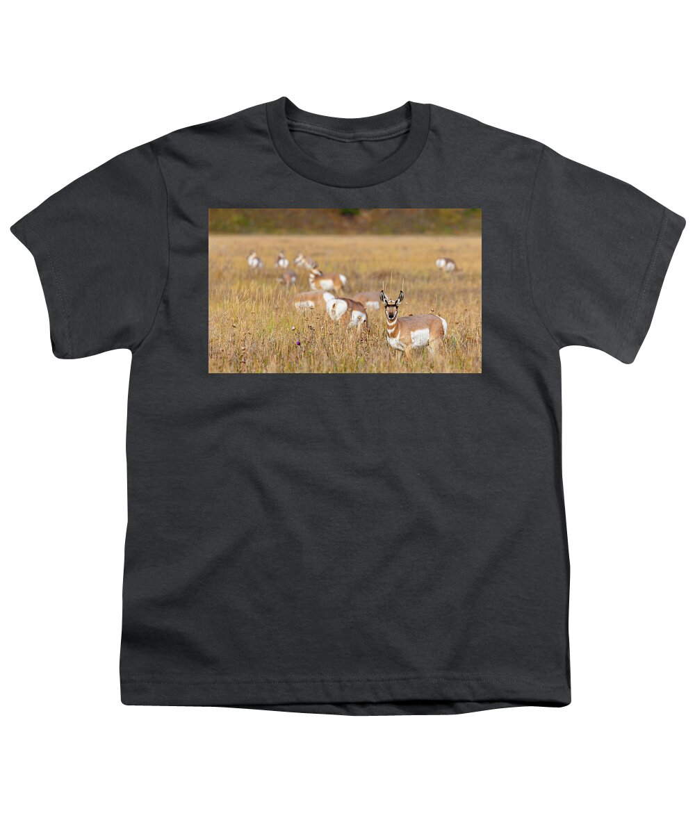 Prong Horns Youth T-Shirt featuring the photograph Prong Horns by Mark Harrington