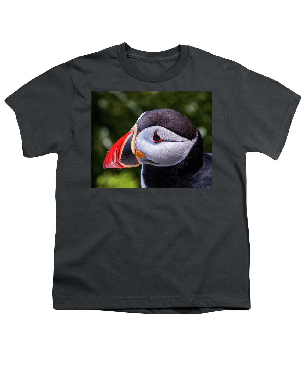Puffins Youth T-Shirt featuring the photograph Puffin Profile by Scene by Dewey